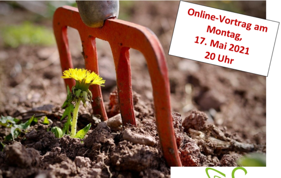 Online-Vortrag