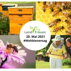 Weltbienentag