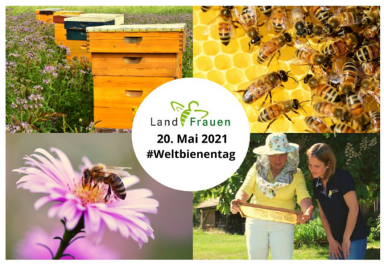 Weltbienentag