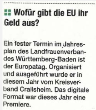 Der Europatag am 8. Mai 2021 fand das erste Mal digital statt.