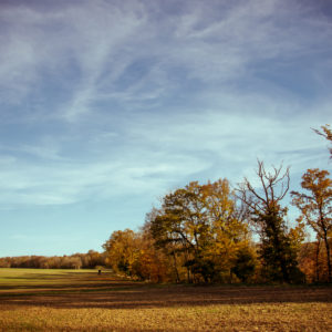 Herbstimpressionen