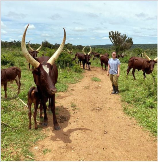 Interesse an einem Auslandspraktikum in Uganda?