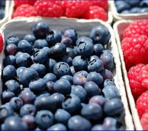 Online-Vortrag: Leckere Beeren im eigenen Garten anbauen