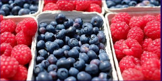 Online-Vortrag: Leckere Beeren im eigenen Garten anbauen