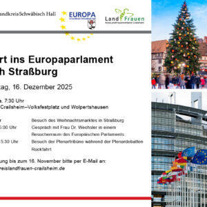 Busfahrt nach Straßburg ins Europaparlament am 16.12.2025