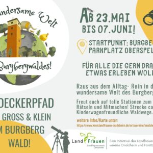 Entdeckerpfad: die Wundersame Welt des Burgbergwaldes