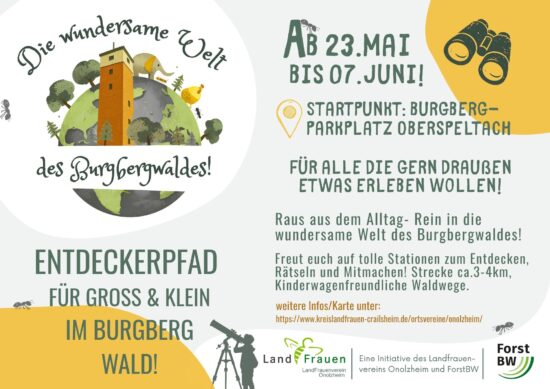 Entdeckerpfad: die Wundersame Welt des Burgbergwaldes